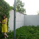 ���� ����, �������, 32 ���� - ��������� 31 ������� 2010