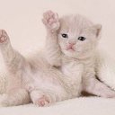 ���� �������, �������� - ��������� 19 ������ 2012 � ������ ���� ����������