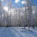 ���� �������, ������, 60 ��� - ��������� 29 ������� 2012 � ������ �������