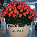 ���� ������, ������ - ��������� 4 ���� 2010 � ������ ������ - 2�