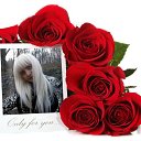    53., , 54  -  6  2013    