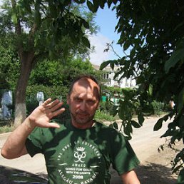 ���� Viktor, �����������, 64 ���� - ��������� 13 ����� 2012