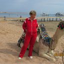 ���� �����, �����-���������, 72 ���� - ��������� 13 ���� 2012 � ������ �PetLove�