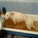 ���� ������, ����-�������, 41 ��� - ��������� 4 ������� 2010 � ������ ���� ��������