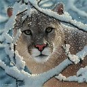 ���� ����� - ���������� ��������!!!, �����������, 56 ��� - ��������� 26 ������� 2009 � ������ ���������� �������Ż