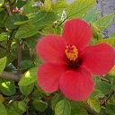 ���� ����, �����, 60 ��� - ��������� 9 ���� 2012 � ������ ��Ψ ����������� � ������ܻ