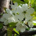 ���� ����, ������, 51 ��� - ��������� 6 �������� 2011