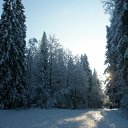  Serzh Van Der Maaremaan,  -  1  2009    