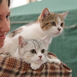 ���� �����, ������, 49 ��� - ��������� 12 �������� 2012