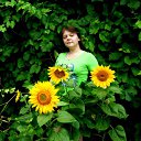 ���� �����, �������, 32 ���� - ��������� 2 ���� 2012 � ������ ���� ����������