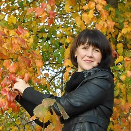 �����, ������