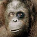 ���� Timur, ������, 55 ��� - ��������� 24 ��� 2013 � ������ ���� ����������