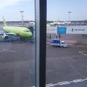 ���� ��������, ���������, 43 ���� - ��������� 2 ���� 2013 � ������ ���� ������ ������