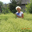 ���� ����, ������, 63 ���� - ��������� 16 ���� 2012 � ������ ���� ����������