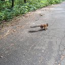���� �������, ������ - ��������� 25 ������� 2012 � ������ �������