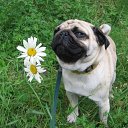 ���� ����, ���������, 60 ��� - ��������� 17 ��� 2011 � ������ �������