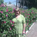 ���� * � * � * � * � * � * � *, ������� - ��������� 13 ���� 2011 � ������ ���� ����������