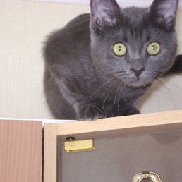 ���� ������, ����, 42 ���� - ��������� 23 ������ 2010