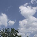 ���� �������, ���������, 41 ��� - ��������� 24 ������� 2012 � ������ ���� ����������