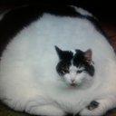 ���� ��������, ������ ��������, 45 ��� - ��������� 10 ������� 2012 � ������ ����������!!!�