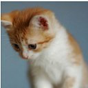 ���� �����, ������, 26 ��� - ��������� 25 ���� 2010 � ������ ���������