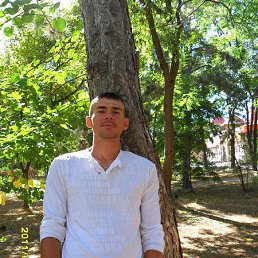 �����, ���������, 41 ���