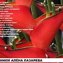 ���� ����, ���, 46 ��� - ��������� 7 ��� 2013 � ������ �� �ͨ� �����ۻ