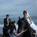 ���� ��������, �������, 66 ��� - ��������� 17 �������� 2011 � ������ �������