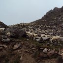 ���� Artiom, �����, 34 ���� - ��������� 16 ������� 2010 � ������ �Preroda�