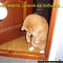 ���� ����, �����, 50 ��� - ��������� 27 ����� 2010 � ������ ������������