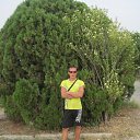 ���� ����, ��������� - ��������� 2 ������ 2011 � ������ ���� ����������