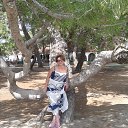 � ����������