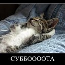 ���� Razim, �����-���������, 49 ��� - ��������� 23 ���� 2013 � ������ ���� ����������