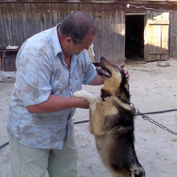 ���� �������, ���������, 69 ��� - ��������� 10 ������� 2012