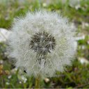 ���� ~��~, ������������, 38 ��� - ��������� 5 ������� 2010 � ������ ��������