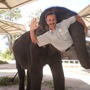 ���� ���, ������