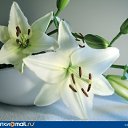 ���� A, ������ - ��������� 6 ������� 2011