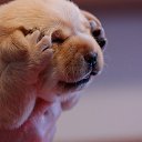 ���� ����������, ������� - ��������� 9 ������ 2013 � ������ ���� ����������