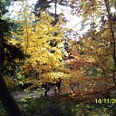  , , 56  -  15  2010     2010