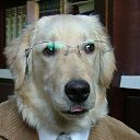 ���� ����� - ���������� ��������!!!, �����������, 56 ��� - ��������� 12 ������� 2009 � ������ ���� ����������