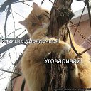 ���� ����� ���������, �����-��������� - ��������� 9 ����� 2013 � ������ ���� ����������