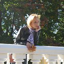 ���� ����, �����-���������, 49 ��� - ��������� 23 ������ 2012 � ������ ���� ����������