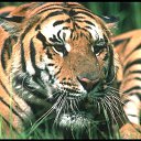 ���� ��� ����, ������, 24 ���� - ��������� 24 ����� 2010 � ������ ��������� 2�