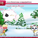  ,  -  11  2011   PetLove