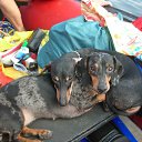 ���� �����, �����-��������� - ��������� 16 �������� 2011 � ������ ������-��������"������"�