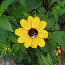 ���� ����)), �����, 40 ��� - ��������� 8 ������� 2009