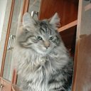  Eili, , 63  -  9  2010   PetLove