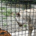 ���� ����, �����, 25 ��� - ��������� 30 ������ 2012 � ������ ������