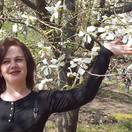 ��������, �����������, 44 ����