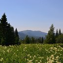 ���� ������, ���������, 43 ���� - ��������� 28 ���� 2013 � ������ ���� ����������